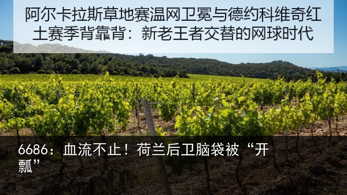 6686：血流不止！荷兰后卫脑袋被“开瓢”