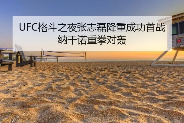 UFC格斗之夜张志磊降重成功首战纳干诺重拳对轰